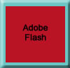 My Flash Website
